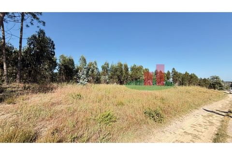 Helårsgrund i Asseiceira, Santarem, Asseiceira - € 27.000 | Ref: 167.25 - foto 7