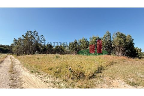 Helårsgrund i Asseiceira, Santarem, Asseiceira - € 27.000 | Ref: 167.25 - foto 8