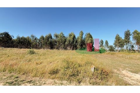 Helårsgrund i Asseiceira, Santarem, Asseiceira - € 27.000 | Ref: 167.25 - foto 9