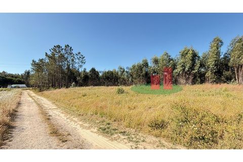 Helårsgrund i Asseiceira, Santarem, Asseiceira - € 27.000 | Ref: 167.25 - foto 10