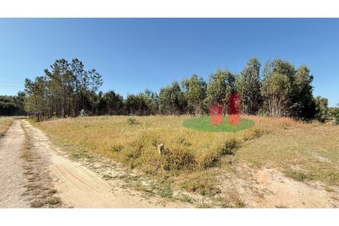 Helårsgrund i Asseiceira, Santarem, Asseiceira - € 27.000 | Ref: 167.25 - foto 12