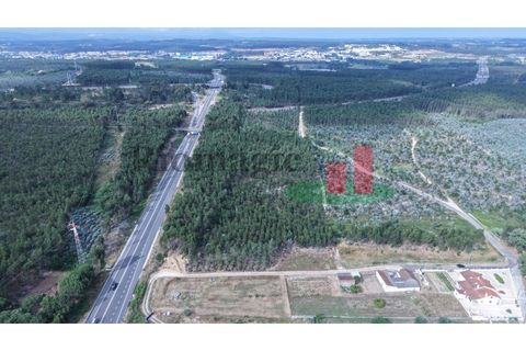 Helårsgrund i Asseiceira, Santarem, Asseiceira - € 27.000 | Ref: 167.25 - foto 11