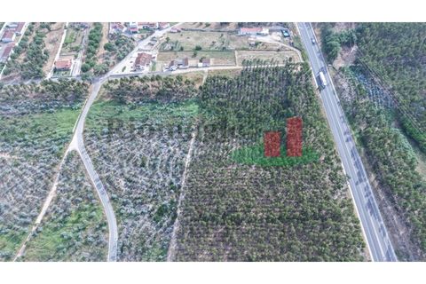 Helårsgrund i Asseiceira, Santarem, Asseiceira - € 27.000 | Ref: 167.25 - foto 3