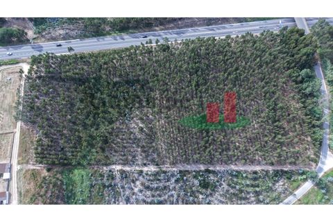 Helårsgrund i Asseiceira, Santarem, Asseiceira - € 27.000 | Ref: 167.25 - foto 14
