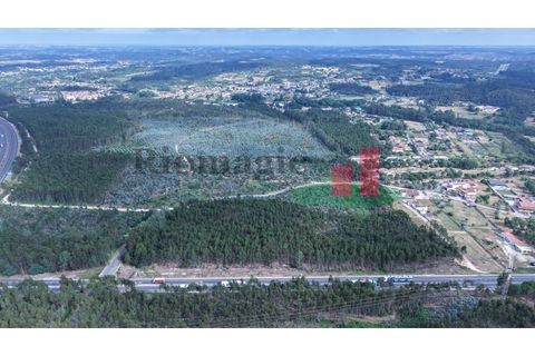 Helårsgrund i Asseiceira, Santarem, Asseiceira - € 27.000 | Ref: 167.25 - foto 2