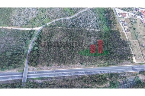 Helårsgrund i Asseiceira, Santarem, Asseiceira - € 27.000 | Ref: 167.25 - foto 16