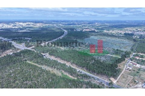 Helårsgrund i Asseiceira, Santarem, Asseiceira - € 27.000 | Ref: 167.25 - foto 17