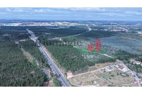 Helårsgrund i Asseiceira, Santarem, Asseiceira - € 27.000 | Ref: 167.25 - foto 18