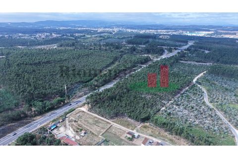 Helårsgrund i Asseiceira, Santarem, Asseiceira - € 27.000 | Ref: 167.25 - foto 19