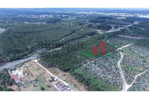 Helårsgrund i Asseiceira, Santarem, Asseiceira - € 27.000 | Ref: 167.25 - foto 20