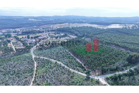 Helårsgrund i Asseiceira, Santarem, Asseiceira - € 27.000 | Ref: 167.25 - foto 23
