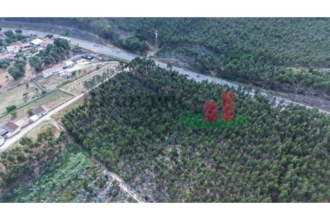 Helårsgrund i Asseiceira, Santarem, Asseiceira - € 27.000 | Ref: 167.25 - foto 25
