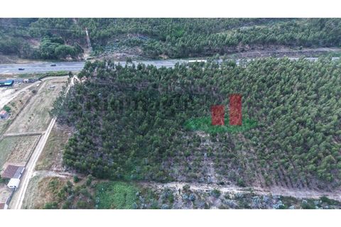 Helårsgrund i Asseiceira, Santarem, Asseiceira - € 27.000 | Ref: 167.25 - foto 26