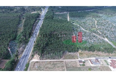 Helårsgrund i Asseiceira, Santarem, Asseiceira - € 27.000 | Ref: 167.25 - foto 27