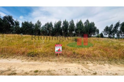 Helårsgrund i Asseiceira, Santarem, Asseiceira - € 27.000 | Ref: 167.25 - foto 28