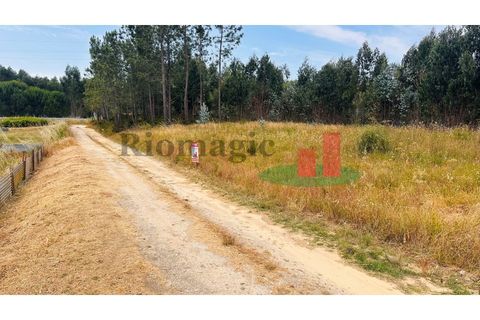 Helårsgrund i Asseiceira, Santarem, Asseiceira - € 27.000 | Ref: 167.25 - foto 29