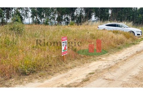 Helårsgrund i Asseiceira, Santarem, Asseiceira - € 27.000 | Ref: 167.25 - foto 30
