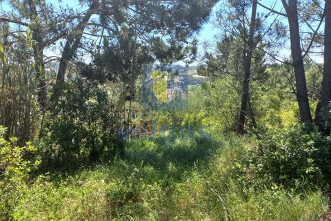 Helårsgrund i Caldas da Rainha, Leiria, Caldas da Rainha - € 35.000 | Ref: CAL-216798 - foto 4