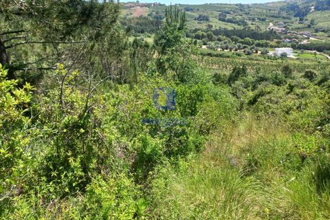 Helårsgrund i Caldas da Rainha, Leiria, Caldas da Rainha - € 35.000 | Ref: CAL-216798 - foto 5