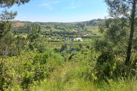 Helårsgrund i Caldas da Rainha, Leiria, Caldas da Rainha - € 35.000 | Ref: CAL-216798 - foto 6