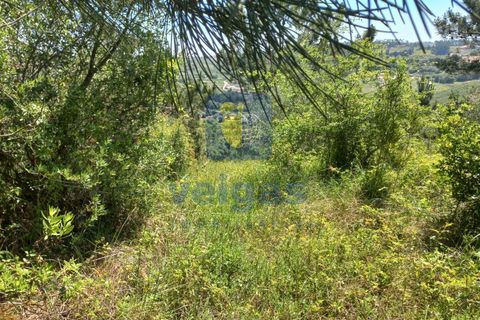 Helårsgrund i Caldas da Rainha, Leiria, Caldas da Rainha - € 35.000 | Ref: CAL-216798 - foto 8