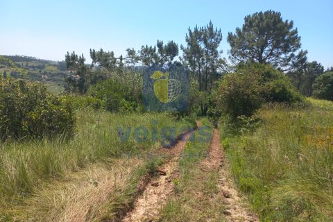 Helårsgrund i Caldas da Rainha, Leiria, Caldas da Rainha - € 35.000 | Ref: CAL-216798 - foto 9