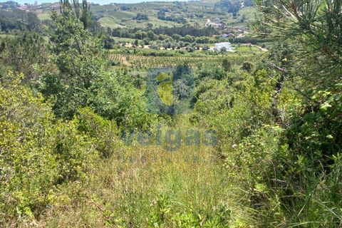 Helårsgrund i Caldas da Rainha, Leiria, Caldas da Rainha - € 35.000 | Ref: CAL-216798 - foto 10