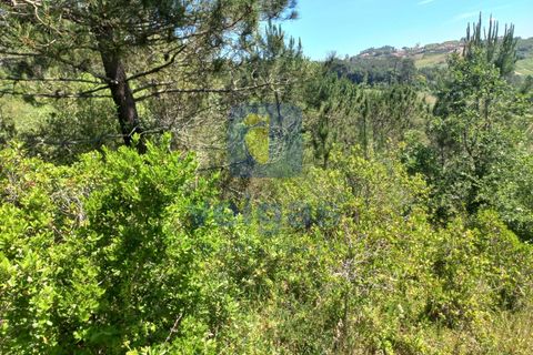 Helårsgrund i Caldas da Rainha, Leiria, Caldas da Rainha - € 35.000 | Ref: CAL-216798 - foto 11