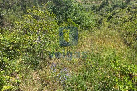 Helårsgrund i Caldas da Rainha, Leiria, Caldas da Rainha - € 35.000 | Ref: CAL-216798 - foto 12