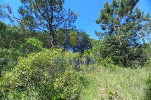 Helårsgrund i Caldas da Rainha, Leiria, Caldas da Rainha - € 35.000 | Ref: CAL-216798 - foto 13