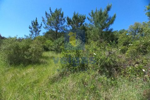 Helårsgrund i Caldas da Rainha, Leiria, Caldas da Rainha - € 35.000 | Ref: CAL-216798 - foto 14