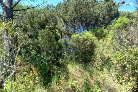 Helårsgrund i Caldas da Rainha, Leiria, Caldas da Rainha - € 35.000 | Ref: CAL-216798 - foto 16
