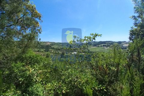 Helårsgrund i Caldas da Rainha, Leiria, Caldas da Rainha - € 35.000 | Ref: CAL-216798 - foto 17