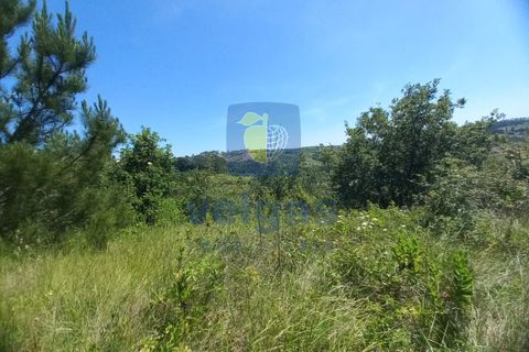Helårsgrund i Caldas da Rainha, Leiria, Caldas da Rainha - € 35.000 | Ref: CAL-216798 - foto 18