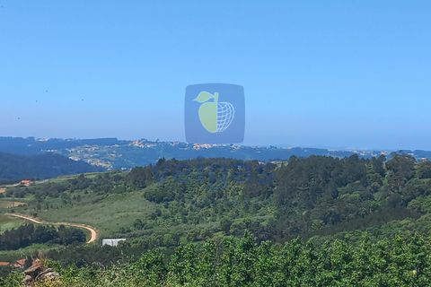 Helårsgrund i Caldas da Rainha, Leiria, Caldas da Rainha - € 35.000 | Ref: CAL-216798 - foto 20