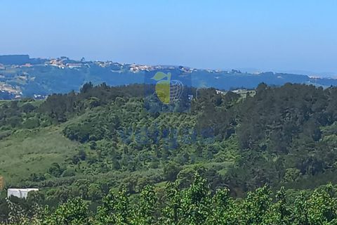 Helårsgrund i Caldas da Rainha, Leiria, Caldas da Rainha - € 35.000 | Ref: CAL-216798 - foto 21