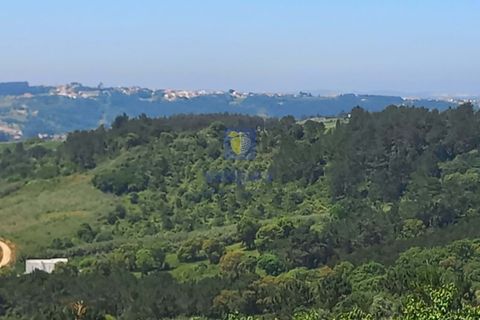 Helårsgrund i Caldas da Rainha, Leiria, Caldas da Rainha - € 35.000 | Ref: CAL-216798 - foto 22
