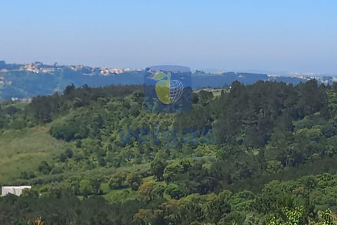 Helårsgrund i Caldas da Rainha, Leiria, Caldas da Rainha - € 35.000 | Ref: CAL-216798 - foto 23