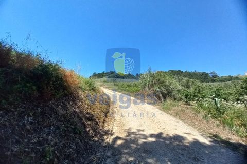 Helårsgrund i Caldas da Rainha, Leiria, Caldas da Rainha - € 35.000 | Ref: CAL-216798 - foto 24