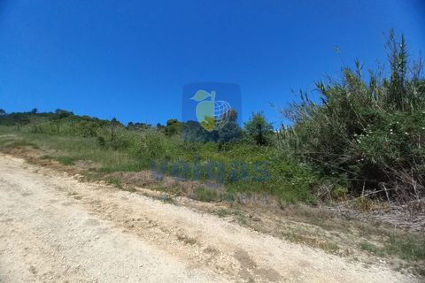 Helårsgrund i Caldas da Rainha, Leiria, Caldas da Rainha - € 35.000 | Ref: CAL-216798 - foto 25