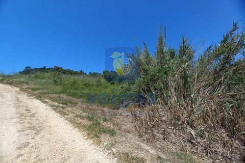 Helårsgrund i Caldas da Rainha, Leiria, Caldas da Rainha - € 35.000 | Ref: CAL-216798 - foto 26