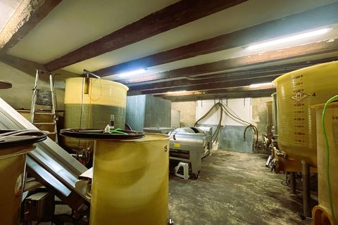 Farm i Caux, Herault, Caux - € 895.000 | Ref: 342433181 - foto 11
