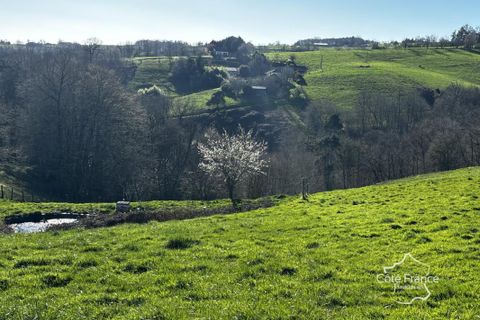 Farm hus i Maurs, Cantal, Maurs - € 220.000 | Ref: 33_BTVAP420007949 - foto 3