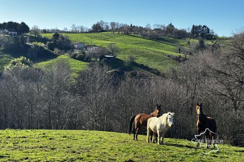 Farm hus i Maurs, Cantal, Maurs - € 220.000 | Ref: 33_BTVAP420007949 - foto 5