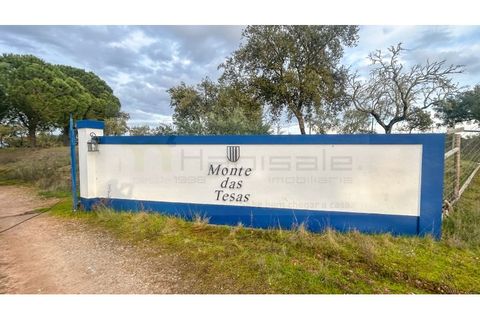 Farm hus i Mora, Evora, Mora - € 2.300.000 | Ref: M11022 - foto 1
