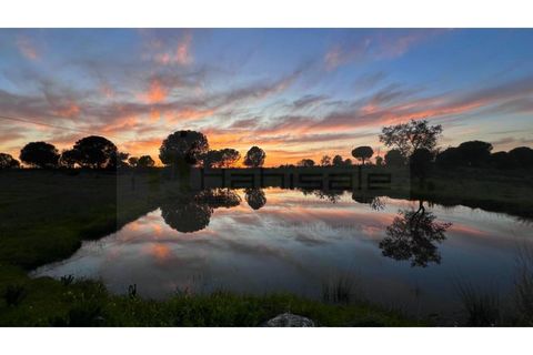 Farm hus i Mora, Evora, Mora - € 2.300.000 | Ref: M11022 - foto 2