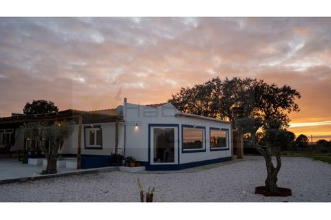 Farm hus i Mora, Evora, Mora - € 2.300.000 | Ref: M11022 - foto 50