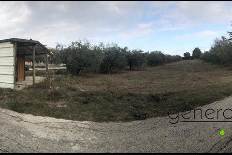 Terra a Cepagatti, Pescara, Cepagatti - € 100.000 | Ref: G220525 - foto 2