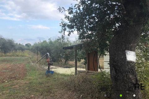 Terra a Cepagatti, Pescara, Cepagatti - € 100.000 | Ref: G220525 - foto 3