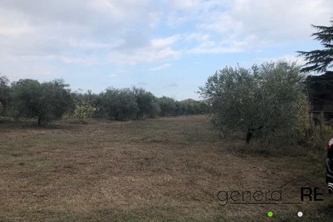 Terra a Cepagatti, Pescara, Cepagatti - € 100.000 | Ref: G220525 - foto 4